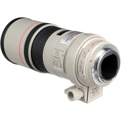 Amazon.com : Canon EF 300mm f/4L is USM, 2530A017AA : Camera Lens